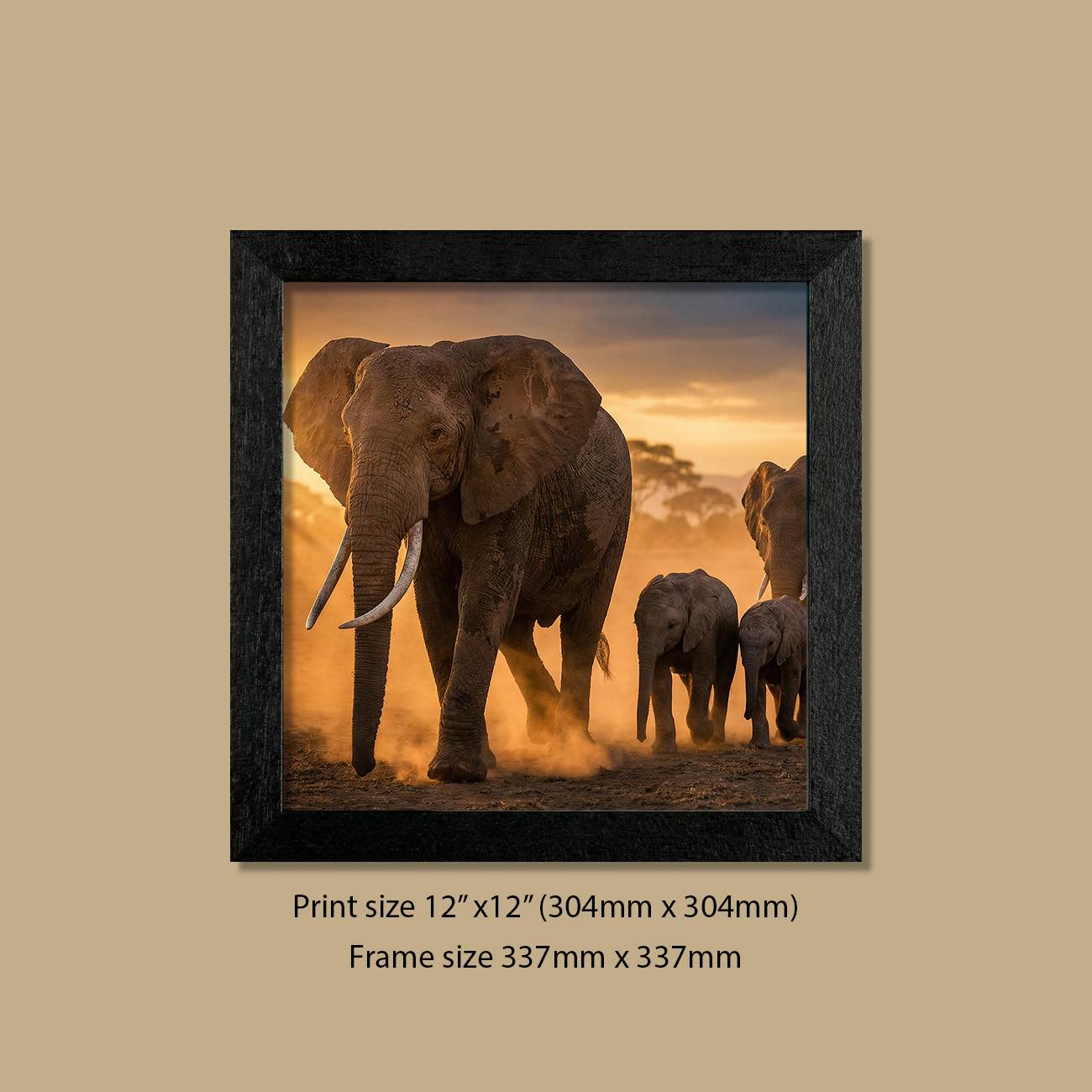 12in x 12in (304mm x 304mm) Gentle Giants on the Move Elephants Print in Contemporary Black Frame