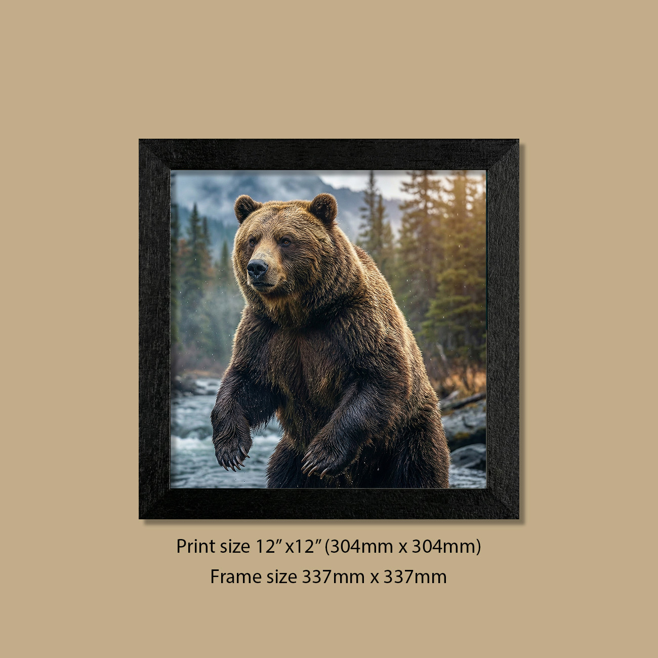 12in x 12in (304mm x 304mm) Majesty of the Wild Grizzly Bear Print in Contemporary Black Frame