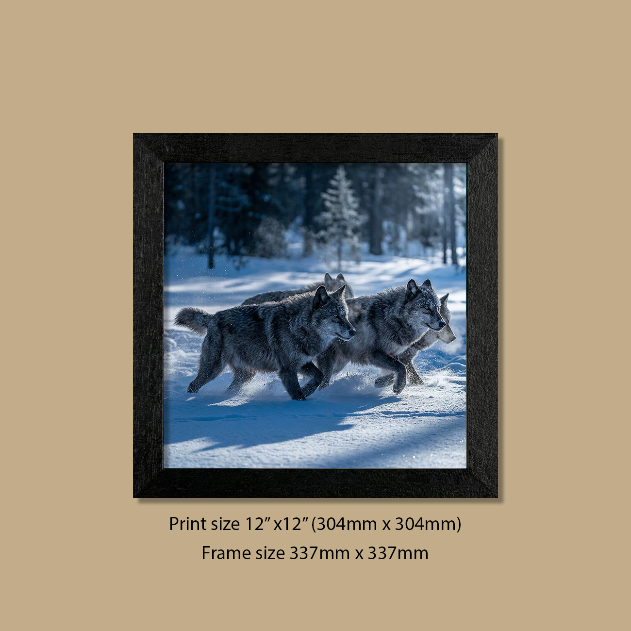 12" x 12" Moonlit Pack Arctic Wolves Print in Contemporary Black Frame