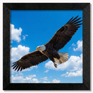 Ruler of the Skies