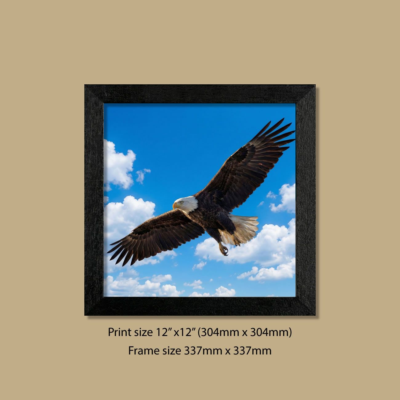 Ruler of the Skies Eagle Print