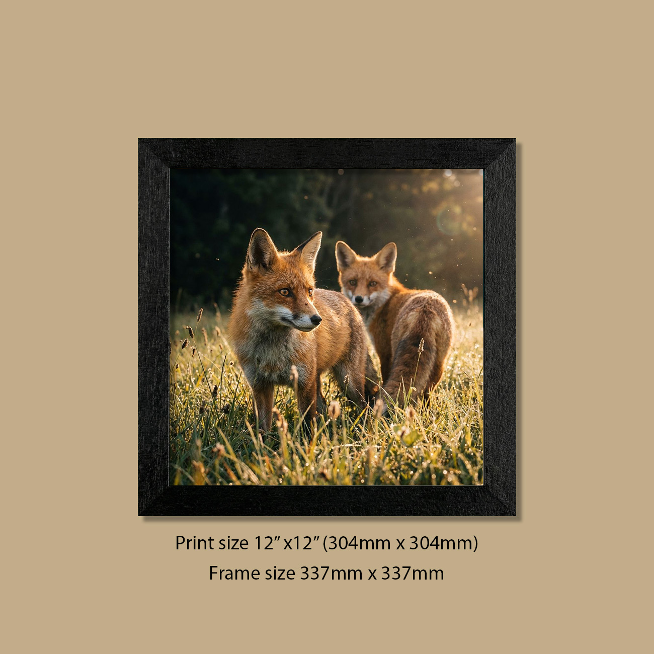 12in x 12in (304mm x 304mm) Whispering Fox Pair Foxes Print in Contemporary Black Frame