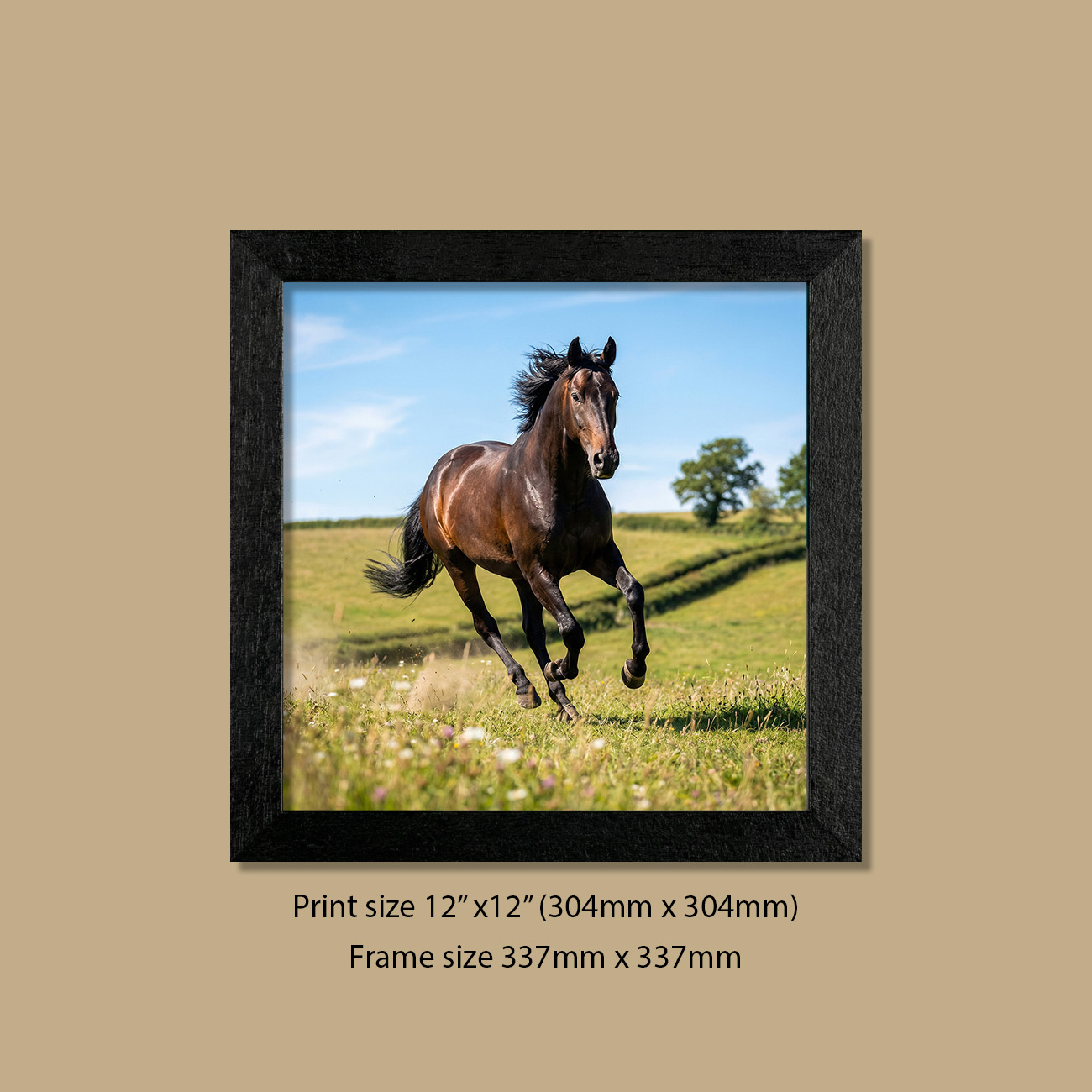 12in x 12in (304mm x 304mm) Wildfield Charger Stallion Contemporary Black